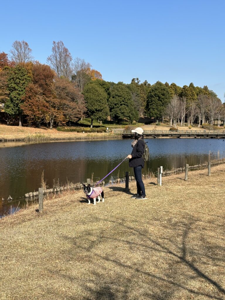 池のそばを散歩する女性と犬