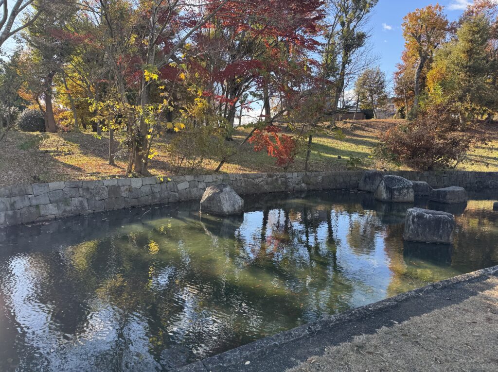 trees-pond