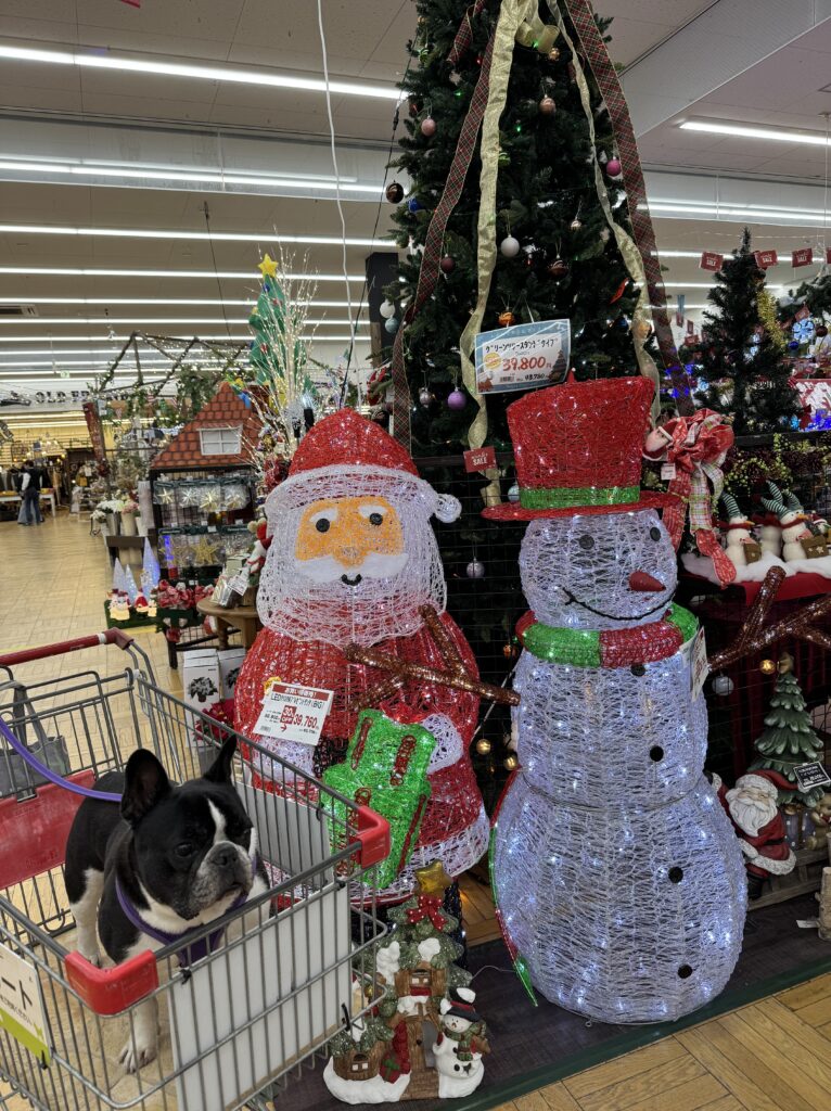 christmas-tree-dog